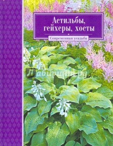 Астильбы, гейхеры, хосты