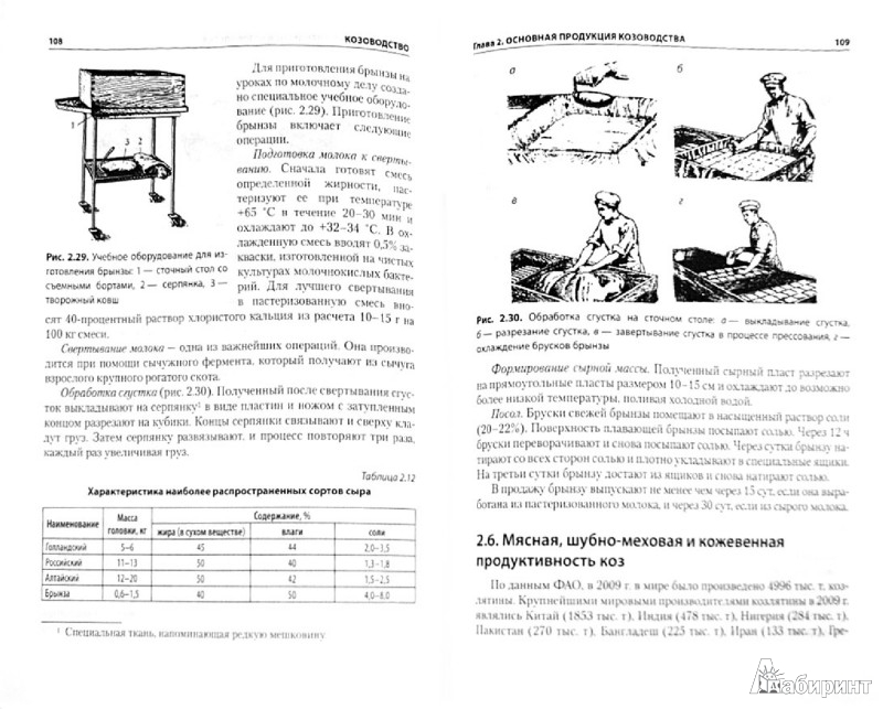 Иллюстрация 1 из 5 для Козоводство - Чикалев, Юлдашбаев | Лабиринт - книги. Источник: Лабиринт