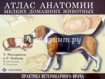 Атлас анатомии мелких домашних животных