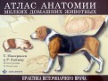Атлас анатомии мелких домашних животных