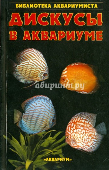 Дискусы в аквариуме