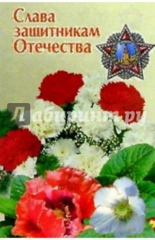 6Т-723/Слава защитникам Отечества/открытка.