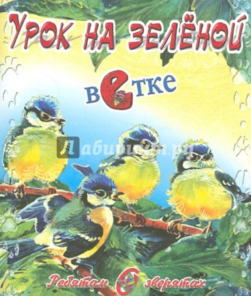 Урок на зелёной ветке