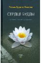 за пределами безумия опыт шести бардо трунгпа ч ринпоче Ринпоче Чогьям Трунгпа Сердце будды