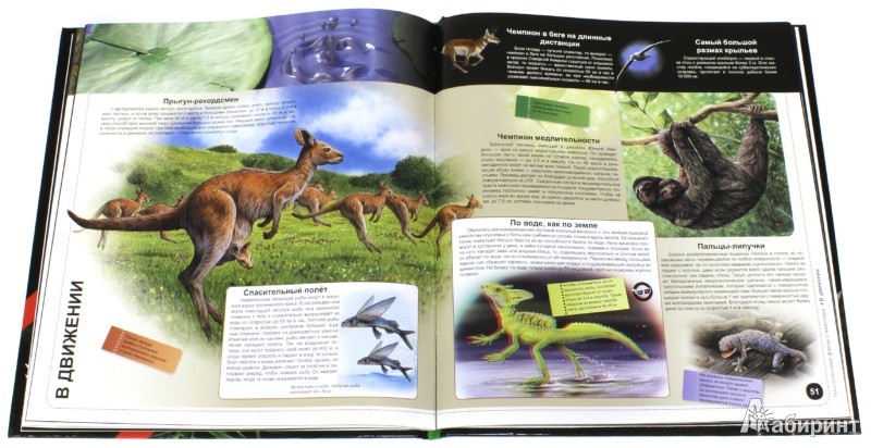 Иллюстрация 2 из 14 для Увлекательные факты о животных | Лабиринт - книги. Источник: Лабиринт