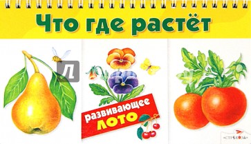 Что где растет. Развивающее лото