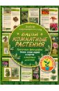 Попова Галина Руслановна Ваши комнатные растения попова галина руслановна ваши комнатные растения