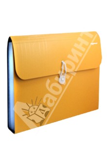 Папка-портфель на резинке DISCOVERY. Цвет: охра (255035-26).