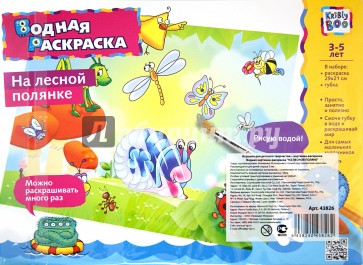 Водная картинка-раскраска "НАСЕКОМЫЕ" (43826)