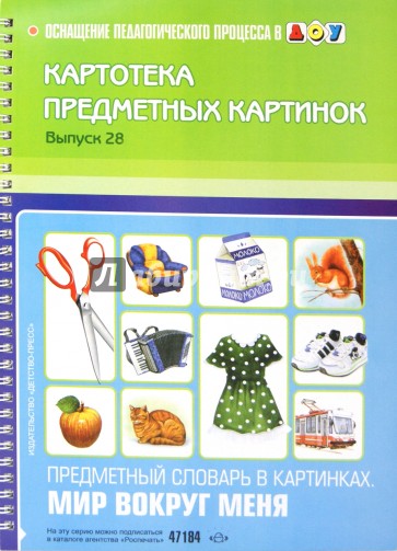 Картотека предметных картинок. Выпуск 28. Предметный словарь в картинках. Мир вокруг меня