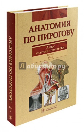 Анатомия по Пирогову. Атлас анатомии человека. В 3-х томах. Том 2: Голова. Шея