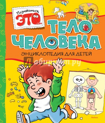 Тело человека