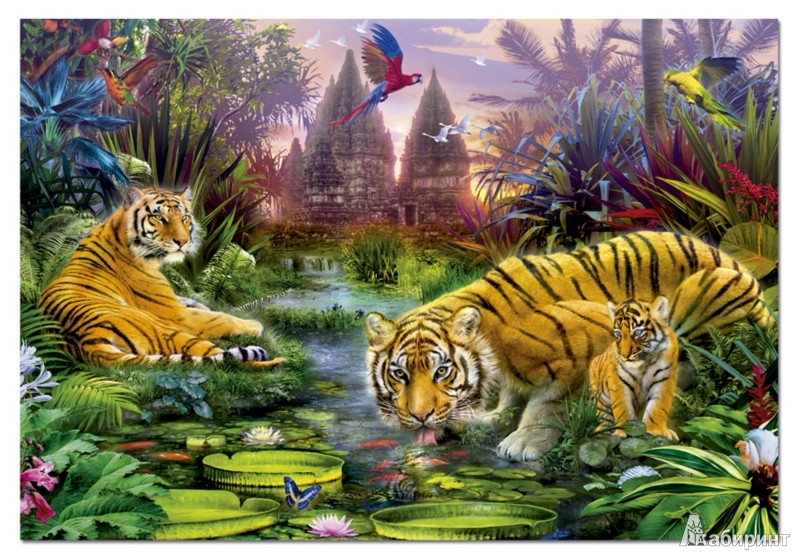 Иллюстрация 2 из 11 для Пазл, 500 элементов, "Тигры у ручья" (15516) | Лабиринт - игрушки. Источник: Лабиринт
