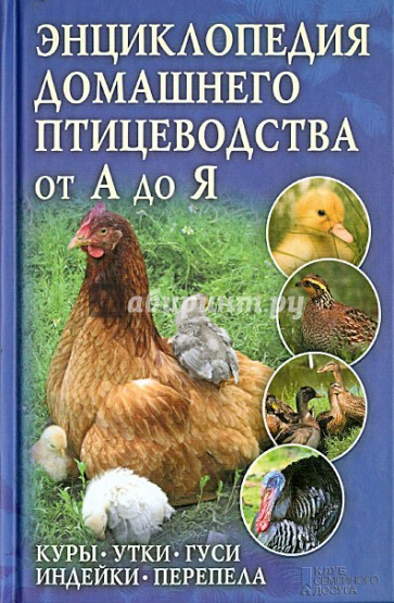 Энциклопедия домашнего птицеводства от А до Я. Куры, утки, гуси, индейки, перепела