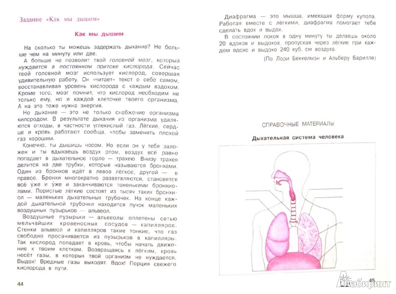 Презентация для выпускников 4 класса