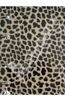   Leopard .  . 5. 120  (N318)