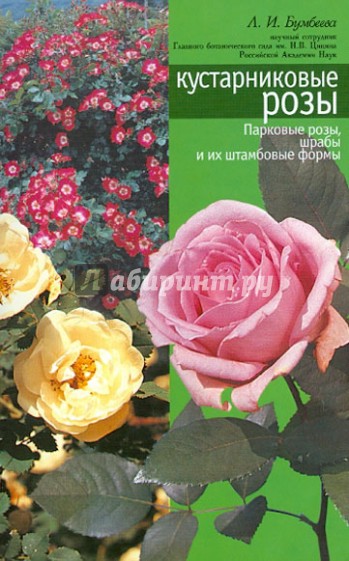 Кустарниковые розы (парковые розы, шрабы, штамповые формы)