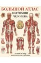 Большой атлас анатомии человека махиянова евгения борисовна большой атлас анатомии человека