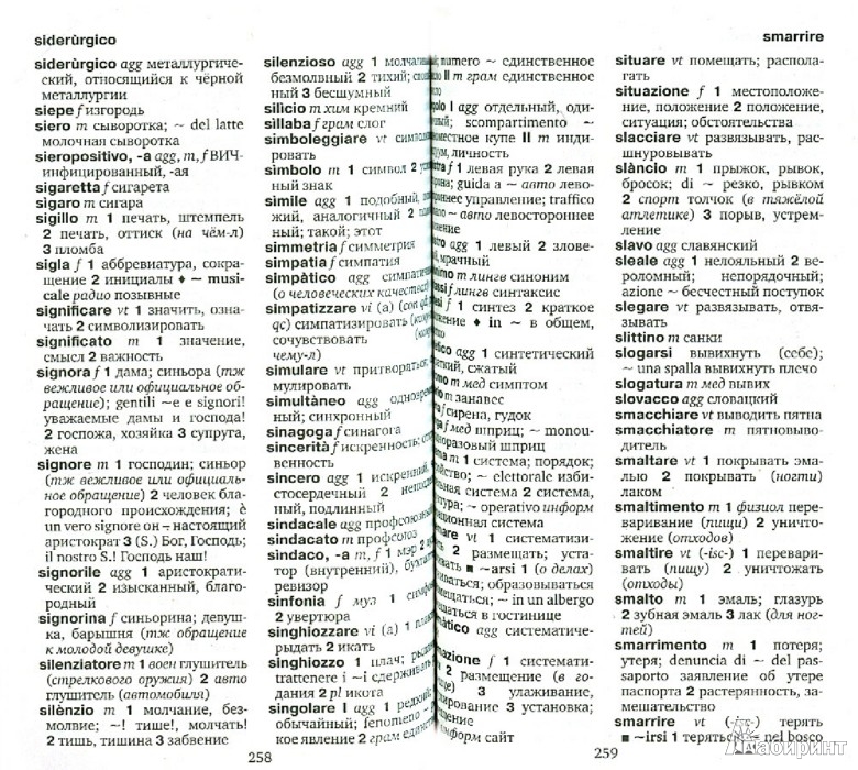Иллюстрация 1 из 5 для Итальянско-русский,русско-итальянский словарь ABBYY Lingvo Pocket+ с загружаемой электронной версией | Лабиринт - книги. Источник: Лабиринт