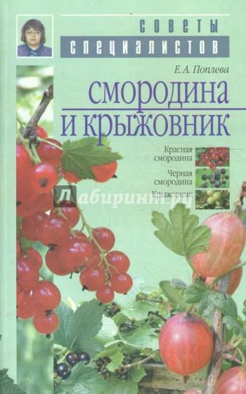 Смородина и крыжовник