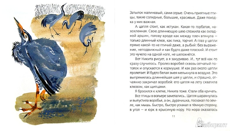 Иллюстрация 1 из 15 для Цапля - Евгений Чарушин | Лабиринт - книги. Источник: Лабиринт