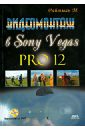 Райтман Михаил Анатольевич Видеомонтаж в Sony Vegas Pro 12 (+DVD)
