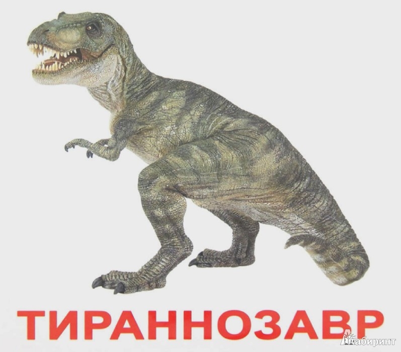 Иллюстрация 1 из 13 для Динозавры (с фактами и заданиями на обратной стороне карточек) | Лабиринт - игрушки. Источник: Лабиринт