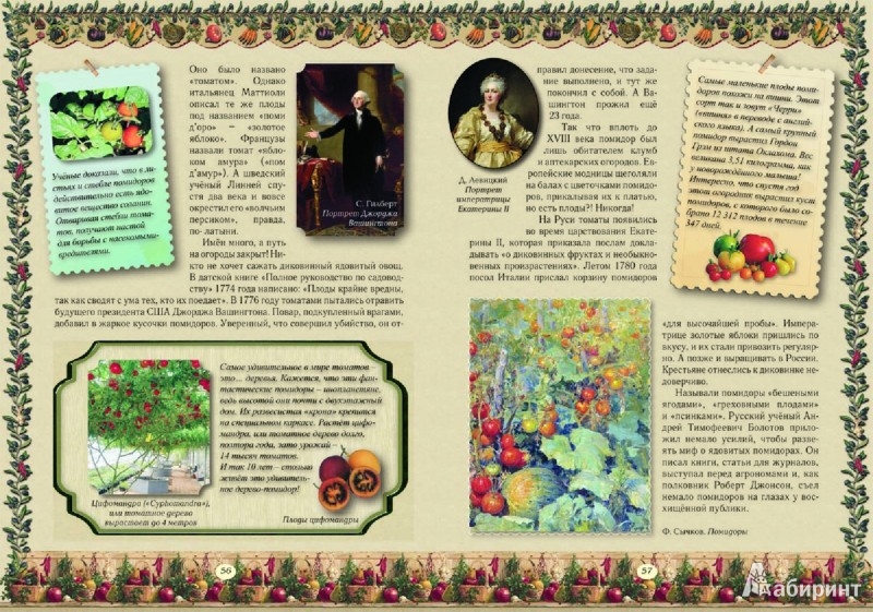 Иллюстрация 6 из 46 для Семь ворот на огород - Елена Ракитина | Лабиринт - книги. Источник: Лабиринт