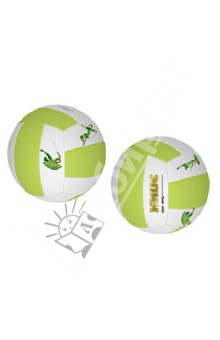 Волейбольный мяч 