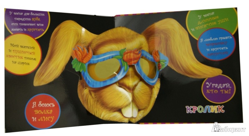 Иллюстрация 2 из 2 для Животные | Лабиринт - книги. Источник: Лабиринт