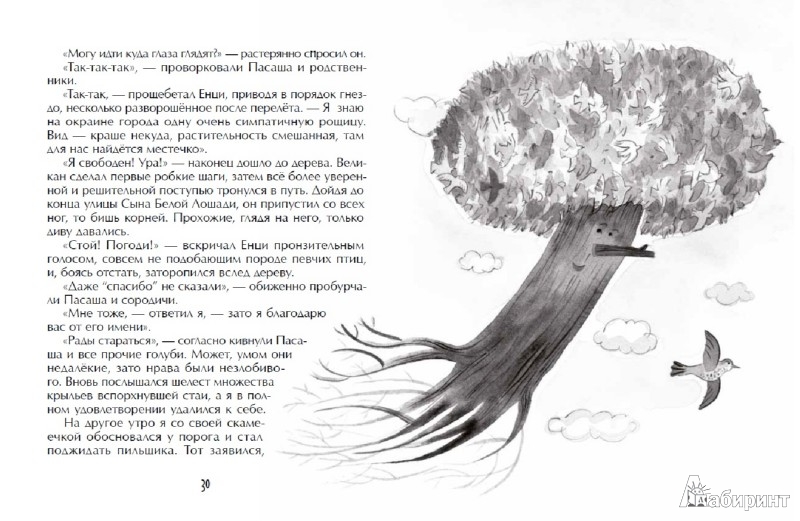 Иллюстрация 3 из 20 для Барсук с нашего двора - Пал Бекеш | Лабиринт - книги. Источник: Лабиринт