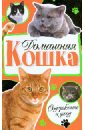 сибирская кошка содержание и уход цвет Дазидова Дарья Домашняя кошка. Содержание и уход
