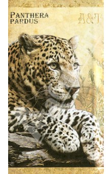    Panthera Pardus  (29689)