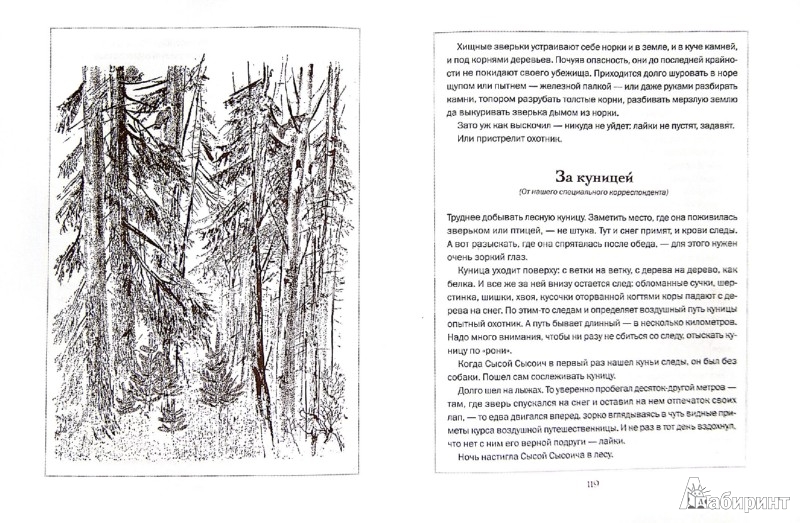 Иллюстрация 1 из 8 для Лесная газета на каждый год. Осень-зима - Виталий Бианки | Лабиринт - книги. Источник: Лабиринт