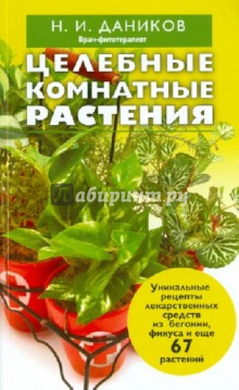 Целебные комнатные растения