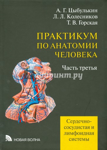 Практикум по анатомии человека. В 4-х частях. Часть 3. Сердечно-сосудистая и лимфоидная системы