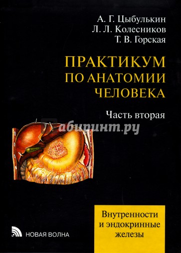 Практикум по анатомии человека. В 4-х частях. Часть 2. Внутренности и эндокринные железы