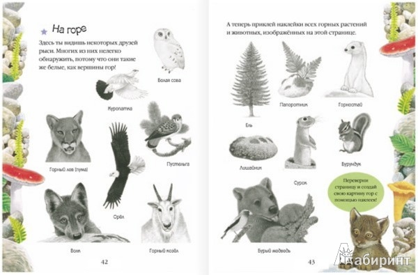 Иллюстрация 2 из 32 для Чудо-наклейки. Мир природы | Лабиринт - книги. Источник: Лабиринт