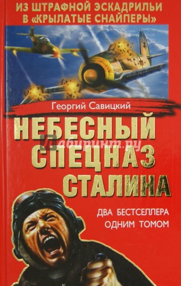 Небесный спецназ Сталина. Из штрафной эскадрильи в "крылатые снайперы"