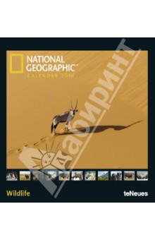   2014   National Geographic.    (7-6689)