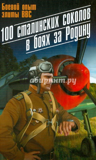 100 сталинских соколов в боях за Родину. Боевой опыт элиты ВВС