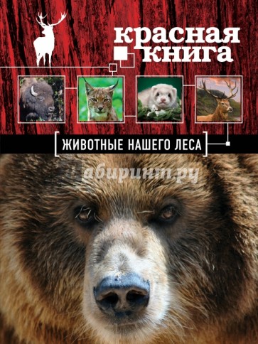 Красная книга. Животные нашего леса