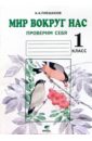 Окружающий мир. Проверим себя. Тетрадь для учащихся 1 класса начальной школы - Плешаков Андрей Анатольевич