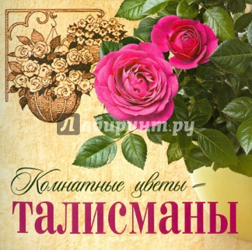 Комнатные цветы-талисманы