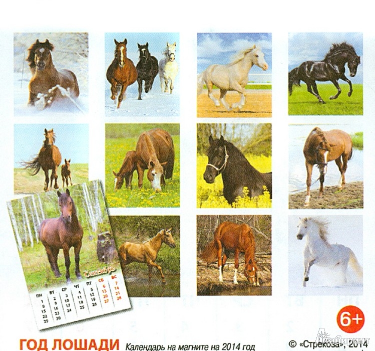 Иллюстрация 1 из 12 для Календарь на магните на 2014 год "Год лошади" | Лабиринт - сувениры. Источник: Лабиринт