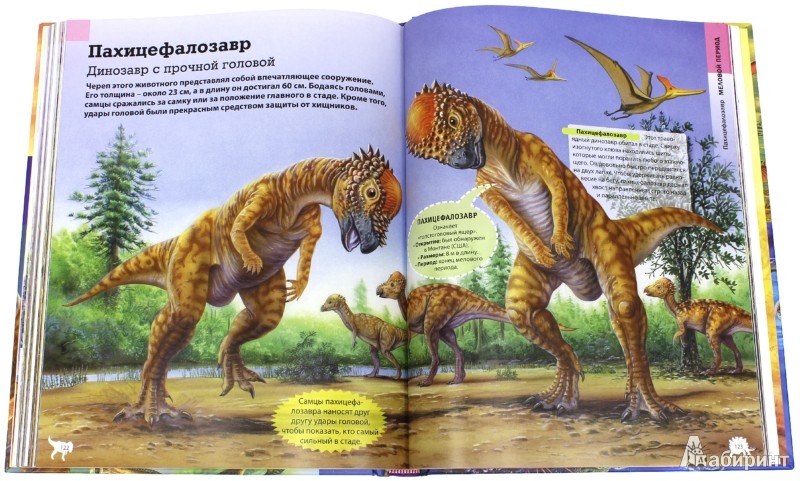 Иллюстрация 2 из 28 для Детская энциклопедия динозавров - Франциско Арредондо | Лабиринт - книги. Источник: Лабиринт