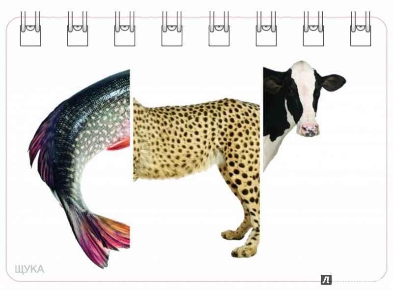 Иллюстрация 2 из 3 для Собираем животных. 3-10 лет. Большой блокнот | Лабиринт - книги. Источник: Лабиринт