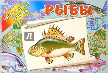 Рыбы