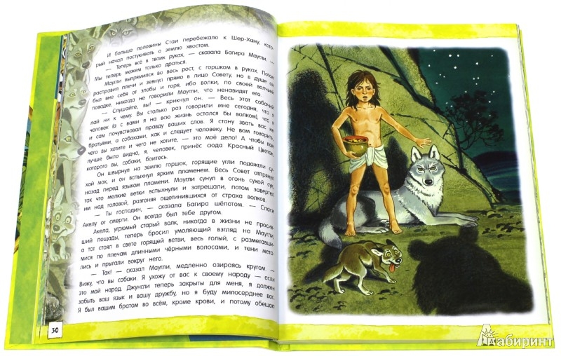 Иллюстрация 1 из 97 для Маугли - Редьярд Киплинг | Лабиринт - книги. Источник: Лабиринт