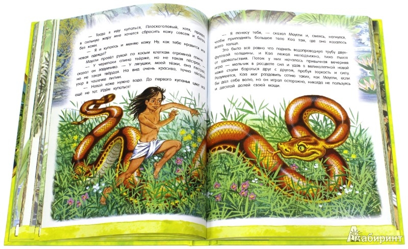 Иллюстрация 9 из 97 для Маугли - Редьярд Киплинг | Лабиринт - книги. Источник: Лабиринт